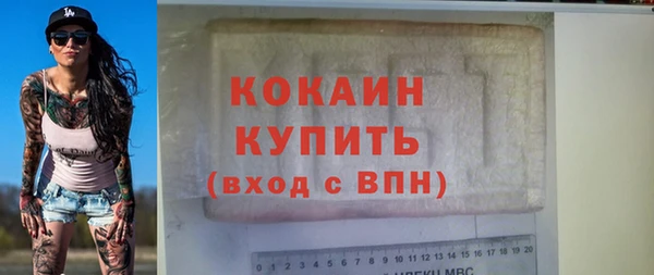 круглые Гусев