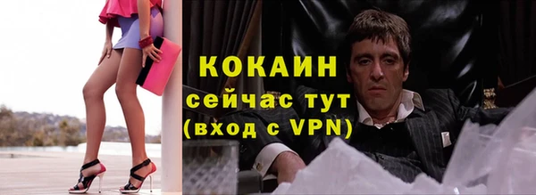 круглые Гусев