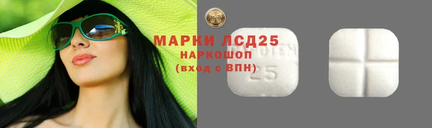 круглые Гусев