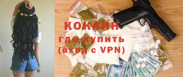 круглые Гусев