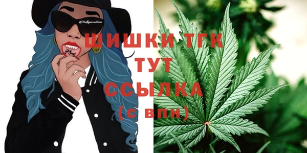 круглые Гусев