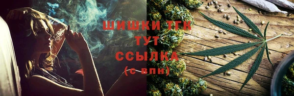 круглые Гусев