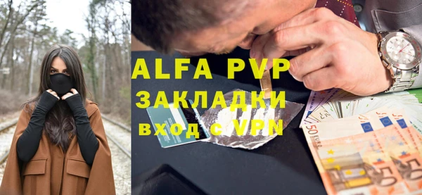 круглые Гусев