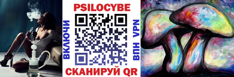 Купить где  Севск  Галлюциногенные грибы Psilocybe 
